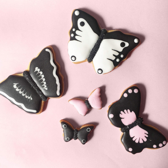 Un joli assortiment de papillons roses et noirs